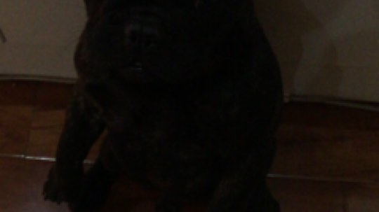 正版管子发布了一个斗鱼视频2017-11-26