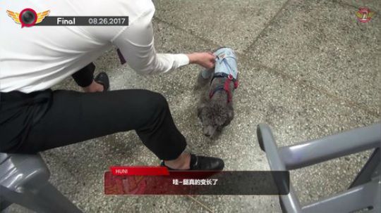 EP45. LCK夏季决赛！神秘嘉宾登场！