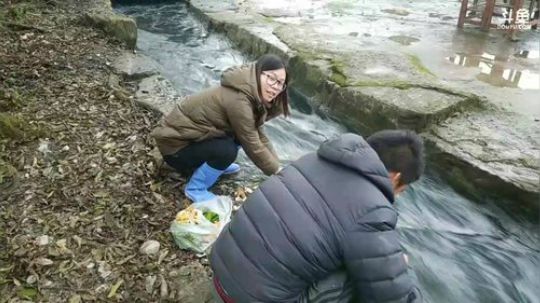 今日吃鼠，兄弟，要尝尝吗？ 2017-11-30 16点场