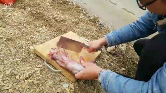 水库美景美食美人帅哥老二美滋滋。 2017-12-01 13点场