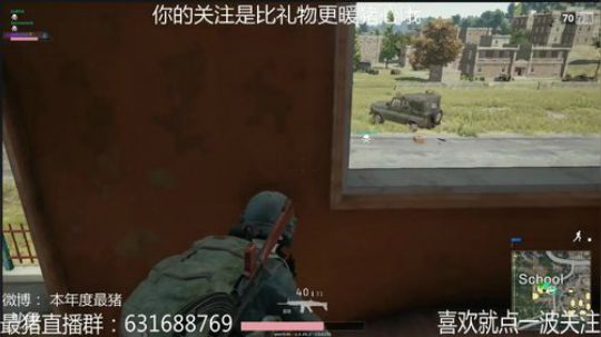 本年度最猪