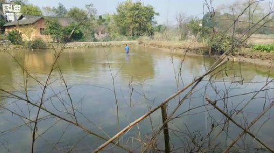 干了这个溏，龙潭河买房。 2017-12-02 10点场