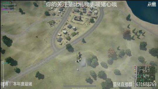 本年度最猪