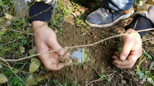 收渔网，鱼满仓！ 2017-12-04 12点场