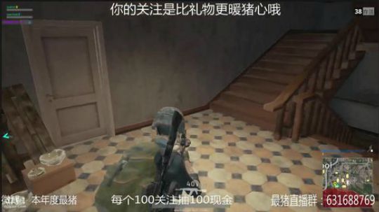本年度最猪 2017-12-03 22点场