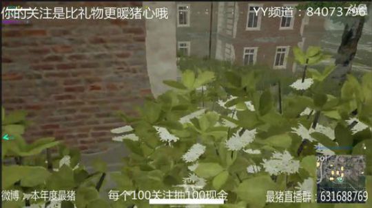 本年度最猪 2017-12-05 18点场