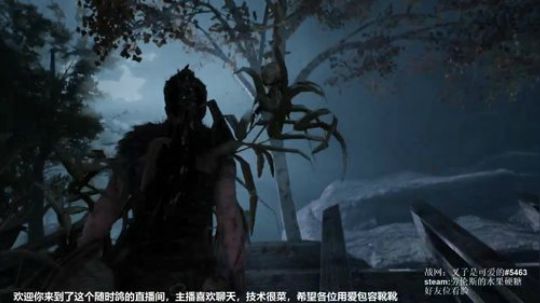 hellblade一周目试玩 2017-12-08 15点场