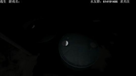 【素年】各种惊悚恐怖游戏，你爱看的这都有 2017-12-08 02点场