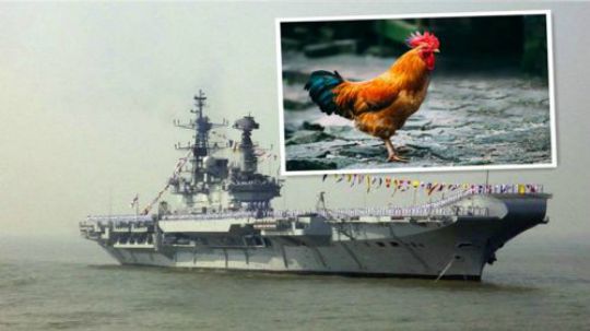 三哥的航母真厉害，大公鸡都能带上军舰