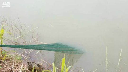 干了这个塘，北京在买套房。 2017-12-12 11点场