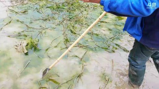 干了这个塘，北京在买套房。 2017-12-12 13点场