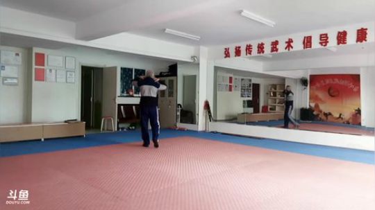 太极形意。青峰传统武术健身会馆 2017-12-10 09点场