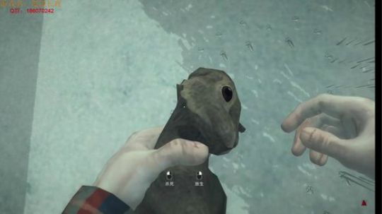 丐帮帮主要饭啦 2017-12-19 16点场