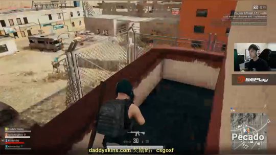 【赖小峰】黑宝宝回来了！ 2017-12-20 16点场