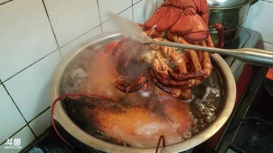 【威海大叔】今天干一只十一斤到龙虾！ 2017-12-22 22点场