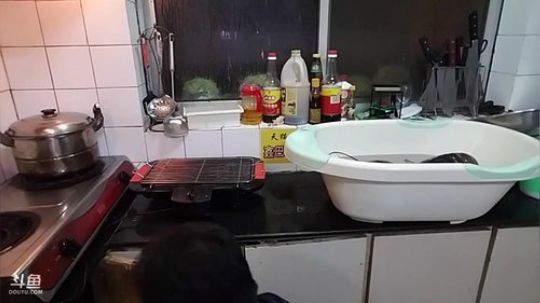 【威海大叔】今天干一只十一斤到龙虾！ 2017-12-22 22点场