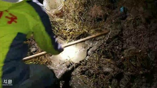 怼塘：包个小塘干一干 2017-12-24 20点场