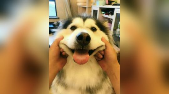 【堡垒之夜】18级鹰语！ZZ主播的一天！！
