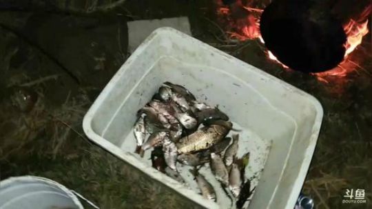 怼塘：包个小塘干一干 2017-12-24 18点场