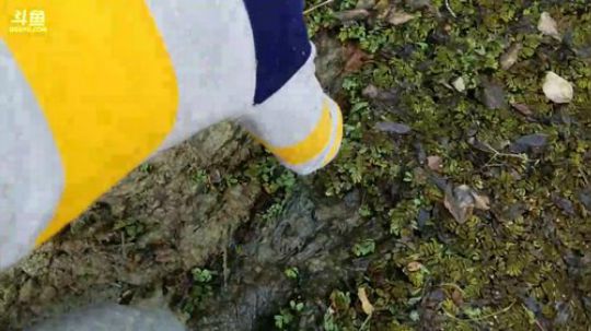 怼塘：包个小塘干一干 2017-12-24 11点场