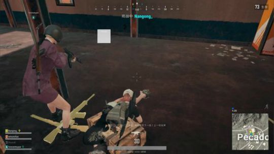 正在喂海豹... 2017-12-25 01点场