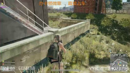 本年度最猪 2017-12-28 02点场