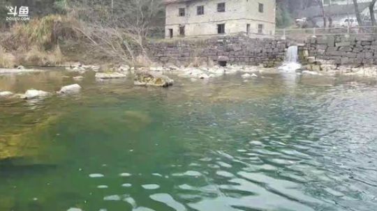 这么冷得天潜水抓鱼？毒奶留着。 2017-12-29 15点场