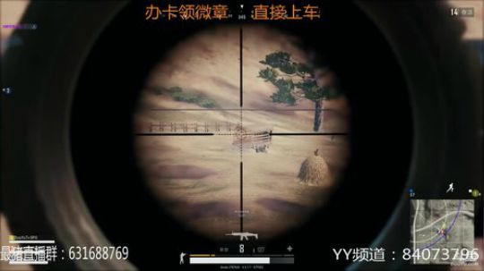 本年度最猪 2017-12-28 18点场