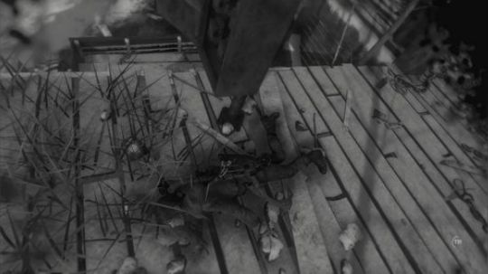 《古墓丽影：崛起》20 周年纪念版 2017-12-30 15点场