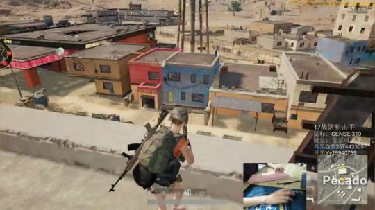 格调：17举鸡手 2017-12-30 16点场