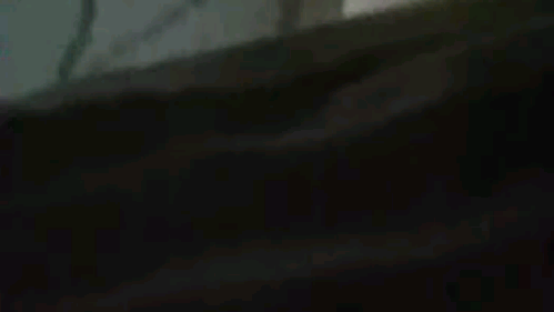 电脑就是这么坏的我有多蠢