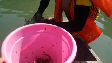 收涨水的笼有惊喜嘛？ 2017-05-26 14点场