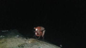 叉鱼走起，魅力等你。 2017-05-26 22点场