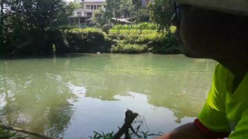 地龙走起，魅力等你 2017-05-27 09点场