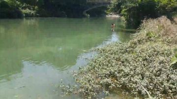 地龙走起，魅力等你 2017-05-27 11点场