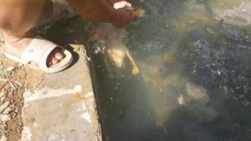 迎四方兄弟！聚八方情谊。 2017-05-27 15点场