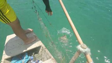 黄石水库鱼再多，不及兄弟情义厚 2017-05-29 12点场