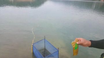 黄石水库鱼再多，不及兄弟情义厚 2017-05-29 15点场