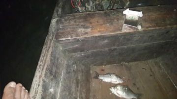 水库夜战小鱼人！ 2017-05-29 20点场