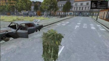 DAYZ0.62测试服大冒险 2017-05-29 22点场
