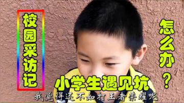 校园采访记之小学生玩王者荣耀遇见坑？怎么办？抢我野怪发育不了