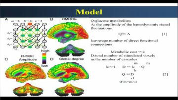 The R-fMRI Lab! 2017-06-02 09点场