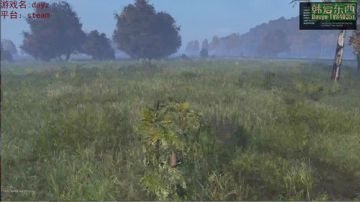 僵尸末日 dayz 2017-06-06 21点场