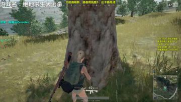紫蓝Perse 枪法啊噗啊噗 2017-06-02 19点场