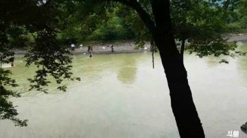 撒网怼翘嘴 2017-06-11 15点场