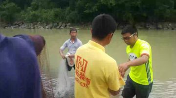 撒网怼翘嘴 2017-06-11 16点场