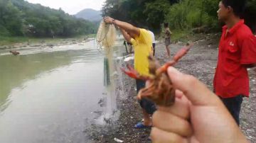 撒网怼翘嘴 2017-06-11 16点场