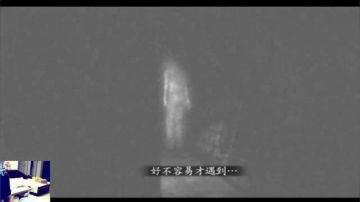 ❥夜猫君❥COD12 战役模式走起~ 2017-06-11 22点场