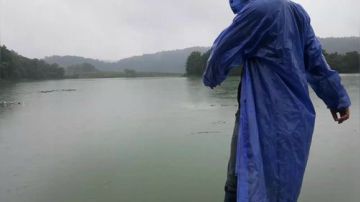 水库收大网，涨水鱼多多 2017-06-13 14点场