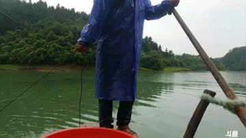 水库收大网，涨水鱼多多 2017-06-13 15点场